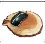 MP005
